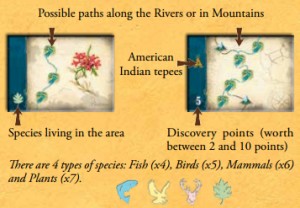 Discovery Cards