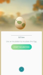 Egg - start Incubation