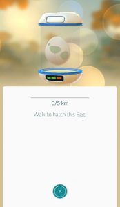 Egg - walk to hatch