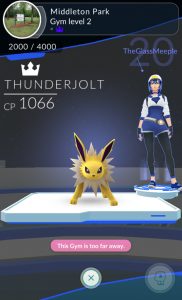 Pokémon Gym with an Opening