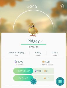 Pidgey - profile