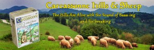 Carcassonne Hills & Sheep - The Hills Are Alive with the Sound of Baaa-ing and Tie-breaking