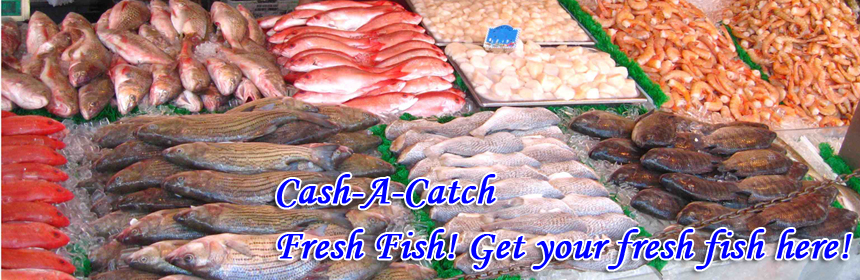 Cash-A-Catch - Fresh Fish! Get your fresh fish here!