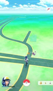 As you move around Pokémon will spawn around you.